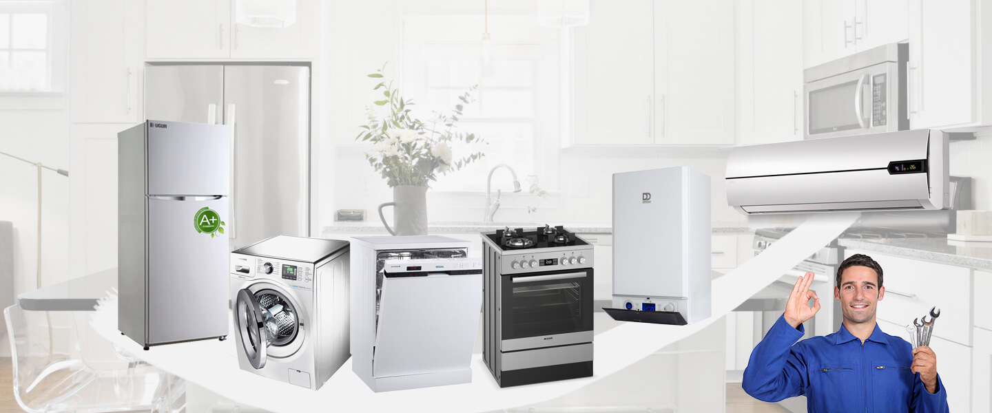 Kartal Electrolux Servisi